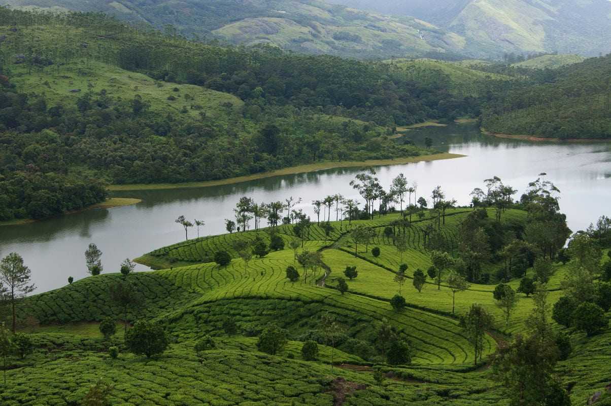 josh tours munnar josh tours madurai to Munnar